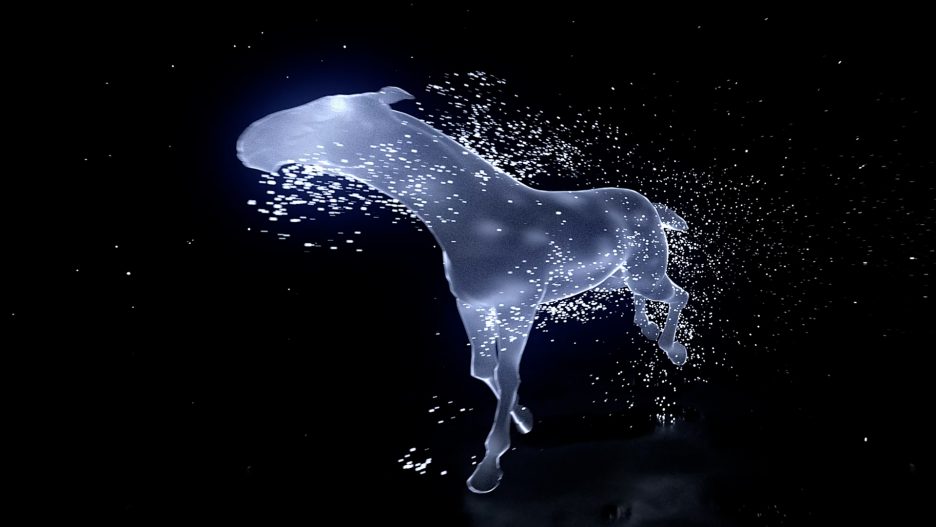 Horse Logo Reveal Intro